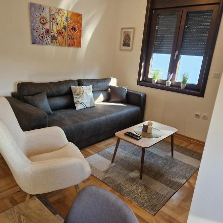 Mb Lux Apartment Vrnjacka Banja Luaran gambar