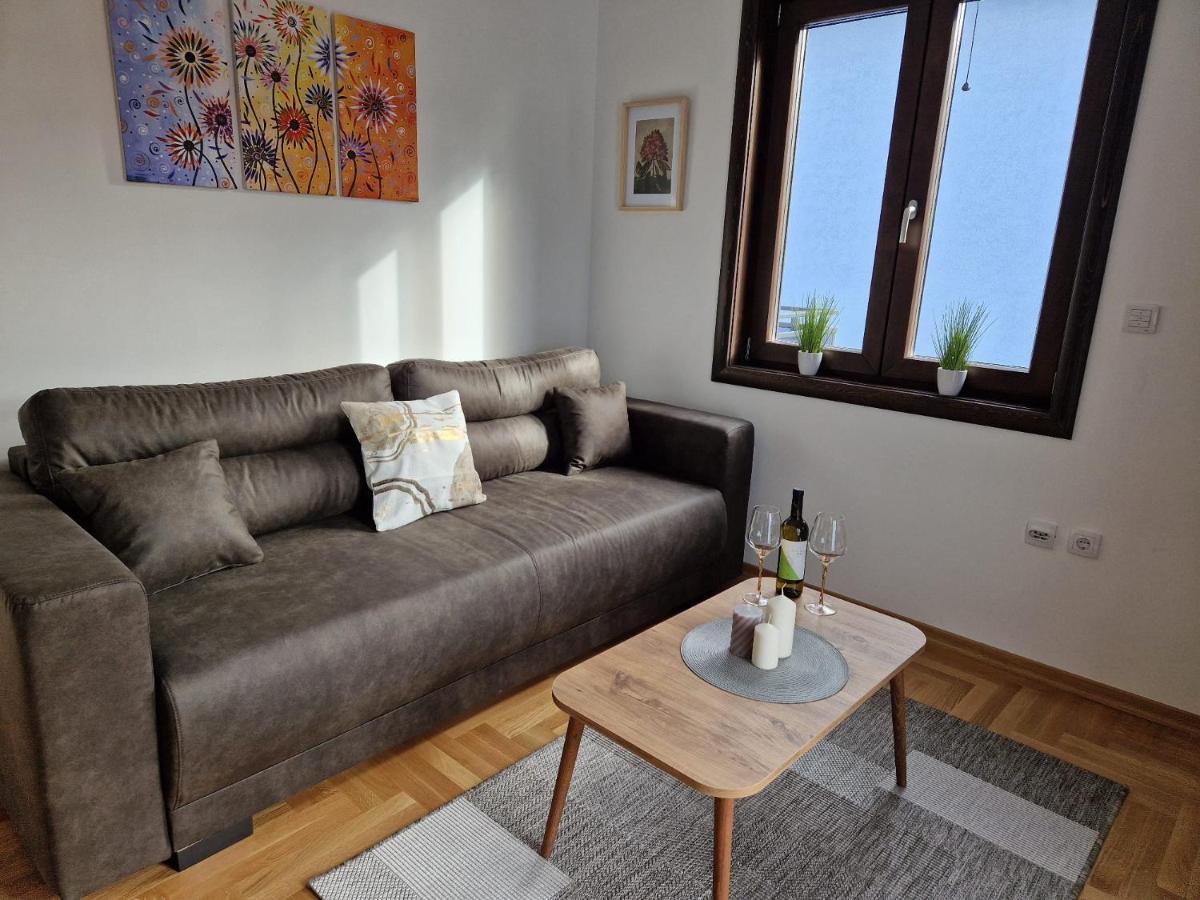 Mb Lux Apartment Vrnjacka Banja Luaran gambar