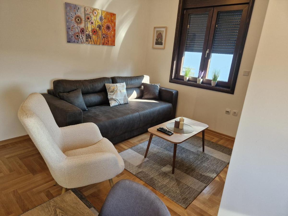 Mb Lux Apartment Vrnjacka Banja Luaran gambar